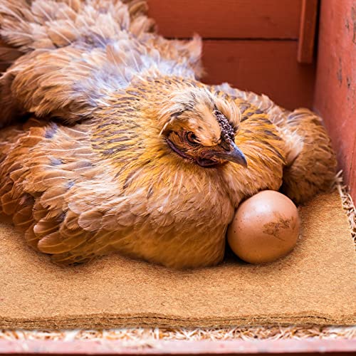 Aoriher 12 Pack Natural Hemp Chicken Nesting Pads Reusable Hens Bedding Mats Chicken Nesting Box Liners for Hen Laying Eggs, Coop Pet Garden Lawn Indoor Outdoor, 11.8 x 11.8 Inches