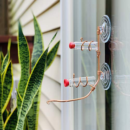 Window Hummingbird Feeder | Handcrafted Copper and Aluminum | Multiple Stations | Modern Hummingbird Feeder | Home Décor | Glass Bottles | Suction Cups (Copper, Two Station) - size: Two Station - Standard Perch