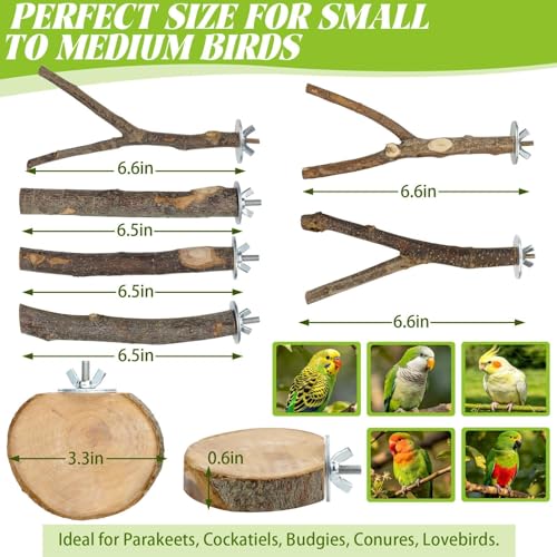 8 Pcs Natural Wood Bird Perch Set for Parakeets & Budgies | Ideal for Small/Medium Birds (Budgies, Conures) | Bark Textures for Foot Health | Tool-Free Wing-Nut | Safe Chewing - size: Core Perch & Platform - 8PCS