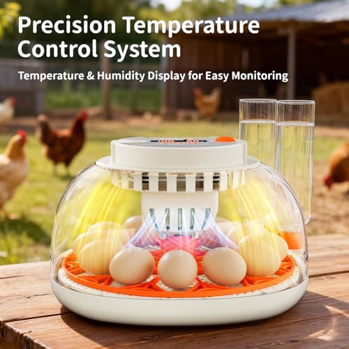 APDOE Egg Incubators for Hatching Eggs, Temperature and Humidity Control, Automatic Egg Turning, Egg Candler, External Water Bottle, Air Vent, for Chicken, Duck & Quail Eggs, 12 Eggs - color: Orange, size: 12 Eggs