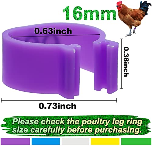 100Pcs 16mm Chicken Leg Rings 5 Colors Numbered Chicken Identification Leg Bands, Poultry Ankle Bands Foot Rings for Ducks Bantam Guinea Pigeons Goose Gamefowl - Medium - size: 16mm - 5 Colors