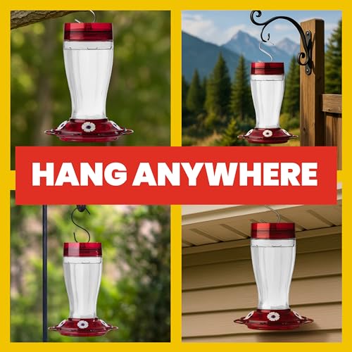 More Birds Bird Health+ Big Gulp Hummingbird Feeder, Glass Hummingbird Feeders for Outdoors, 5 Feeding Stations, 40 Ounces | Built-in Ant Moat, 40 oz Large Capacity, 5 Feeding Stations, BPA-Free Red Base and Top