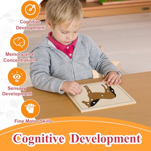 Montessori Outlet Horse Puzzle for Children 3-6 Years Montessori Education at School and Home - color: Horse