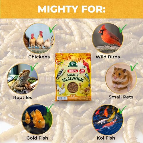 Nature Anywhere Mighty Mealworm | meal worms for wild birds and laying hens, about 52% protein, SGS lab tested, single ingredient, no fillers, resealable
