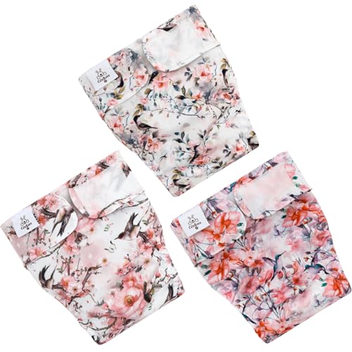 CuteBone Washable Dog Diapers Female No Tail Hole 3 Pack Reusable Doggie Period Training Pants for Docked-Tail Frenchie French Bulldog Boston Terrier Without Tail WWD30XS - size: XS