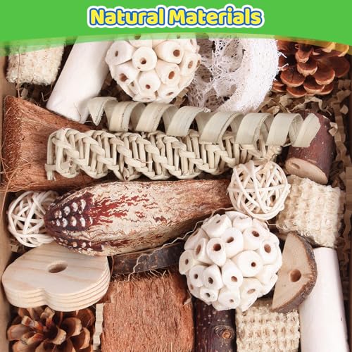 Kyouki Bird Toys Parrot Toys Natural Bird Foraging Box Foot for Parakeets,Cockatiels,Conures,Love Birds,and Other Small to Medium Birds (Medium) - size: Medium