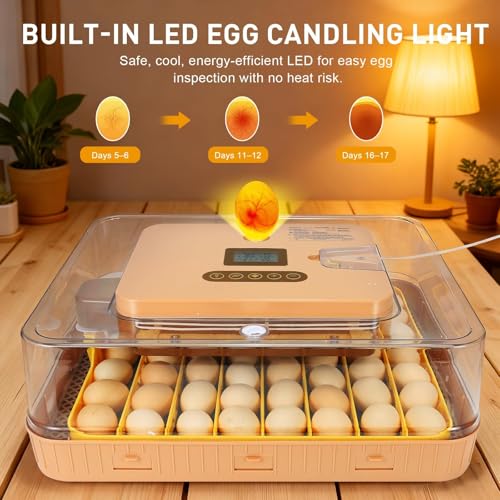 Gen IV – 56 Egg Fully Automatic Incubator, 2026 UpgradedDesign, Intelligent Sensor-Based Humidity & Temp Control, Custom Days, Adjustable Auto Turning & Stop, Chick Separator, Flexible Egg Spacing - size: 56 egg-brown