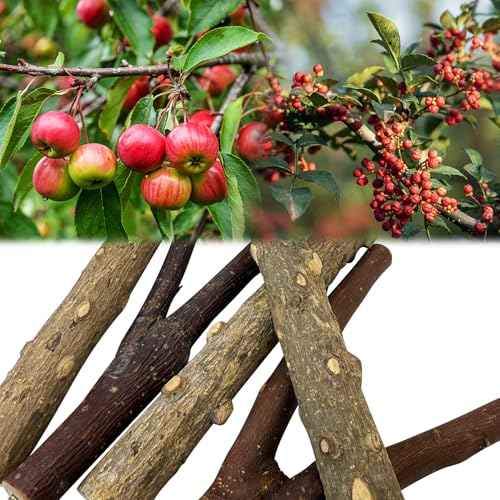 BNOSDM 5PCS Bird Perches Stand with Mirror Parrot Wood Stick Perches | Natural Forked Perch Branch Parakeet Toy Set Bird Cage Accessories for Budgie Cockatiel Conure Finch Lovebird