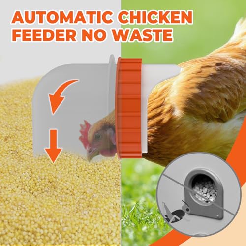6 Port Automatic Chicken Feeder, No Waste Poultry Feeder with Lid | 85 LBS Large Gravity, Weatherproof Lid, Locking Latch, Convenient Handle, Heavy Duty Automatic Metal Chicken Feeder - size: 6 Ports (85-120 LBS)