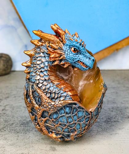 Ebros Gift Metallic Bronze and Blue Azure Dragon Hatchling in Dragon Scales Egg Figurine Medieval Gothic Fantasy Dragons Accent