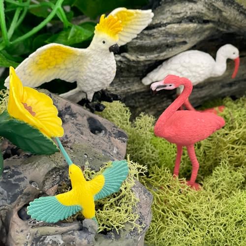 Safari Ltd. Exotic Birds TOOB - 10 Figurines: Parakeet, Quetzal, Macaw, Hummingbird, Toucan, Cockatoo, Flamingo, Snowy Owl, Parrot - Educational Toy Figures For Boys, Girls & Kids Ages 3+