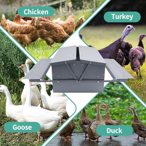 Automatic Chicken Feeder Treadle Poultry Feeding Trough Plastic Spraying Steel 25lb No Spill for Roosters Duck Goose and Turkey