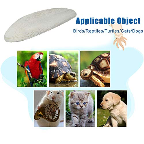 2PCS Natural Cuttlebone for Tortoise Turtles Snails Birds Cockatiels Parakeets Budgies Reptiles Small Animals(4"-4.5",Small)