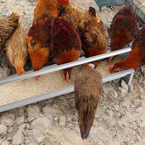 GIANTEX Chicken Feeding Trough 45" Long - Heavy Duty Galvanized Steel Chicken Feeder with Crossbar, Drainage Holes, Large Capacity Poultry Feeder Trough for Duck Geese Turkey Pigeon, Easy to Clean