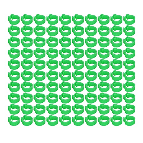 Omabeta 100PCS Reusable 8mm Pigeons Identification Leg Rings for Easy Dovecot Management and Marking, Lightweight Plastic Bands for Poultry Supplies (Green) - color: Green