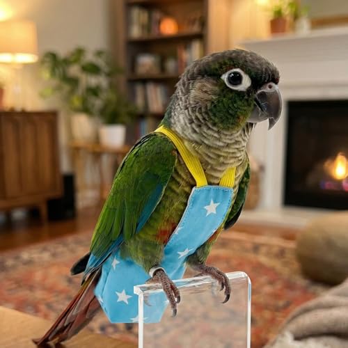 Bird Flight Harness Vest, Snap-Fastener Design Harness Vast, Bird Flying Clothes with Rope and Handle for Parakeets Cockatiels Conures Budgies（Black Heart - Vest + Traction M - color: black Heart, size: M