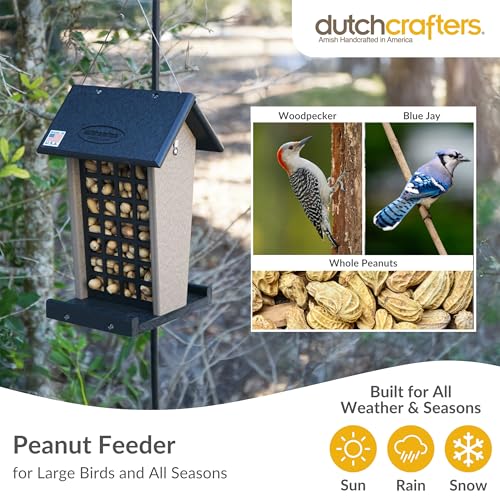 DutchCrafters Plastic Poly Hanging Whole Peanut Bird Feeder for Large Birds, Woodpeckers, Blue Jays for Outdoor, Garden, Yard - USA Amish Made (Black/Red) - color: Black/Red