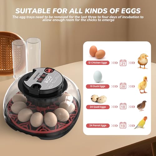 12 Egg Incubator for Hatching Chicken/Quail/Duck Eggs, Auto Turning, Digital Humidity/Temp Control, LED Candler, Auto Water Refill, 360° View (Smart Sensor) - color: Onyx Crimson