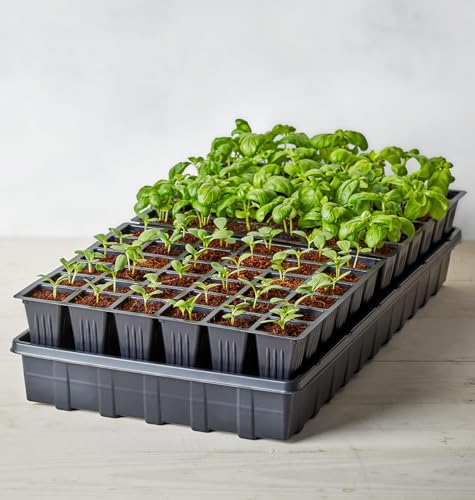 Burpee 72-Cell Self-Watering Seed Starter Kit for Indoor Seed Starting | Complete grow kit with coco coir pellets, humidity dome and self-watering system for starting vegetables, herbs and flowers - color: 72 Cell Self Watering Kit