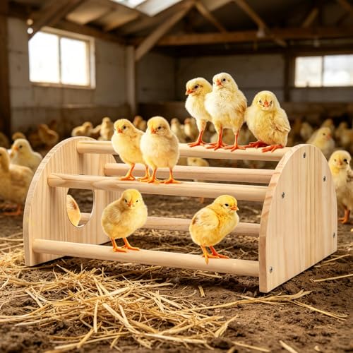 Pine Chicks Perch with Mirror, Strong Chick Jungle Gym Roosting Bar, Chicken Perch Toys for Coop and Brooder, Training Perch Toys for Large Bird, Parrot, Macaw, Hens (Large) - size: Large