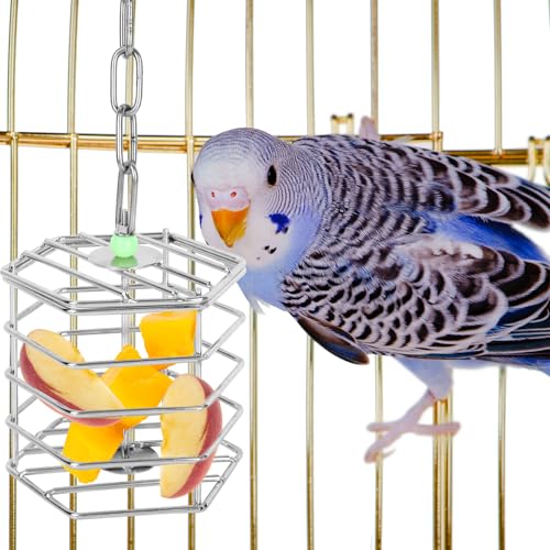 Stainless Steel Bird Suet Feeder Cage with Chain & Bead, Hanging Bird Food Holder Intelligent Feeding Box Millet Treat Holder for Macaw Cockatoo Cockatiel Parrot