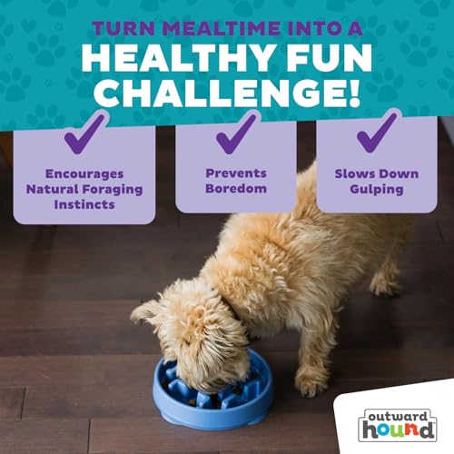 Outward Hound Fun Feeder Slo Bowl – 2‑Cup Capacity, Slow Feeding, Small to Medium Dogs & Cats, Non-Slip, Blue, Notch Pattern, Medium (Pack of 12) - color: Blue, size: Medium (Pack of 12)