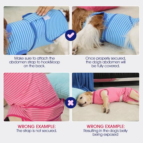 Dog Recovery Suit Male,Dogs Surgery Neuter Suits Puppy Spay Shirts for Female Protect Dog's Skin Anti Licking Abdominal Wounds Doggie Onesie Pet Bodysuit Alternative to Cone Green Stripes XS - color: Green Stripes, size: Xs(back:8.3-11.4in,wt:4-7lbs)