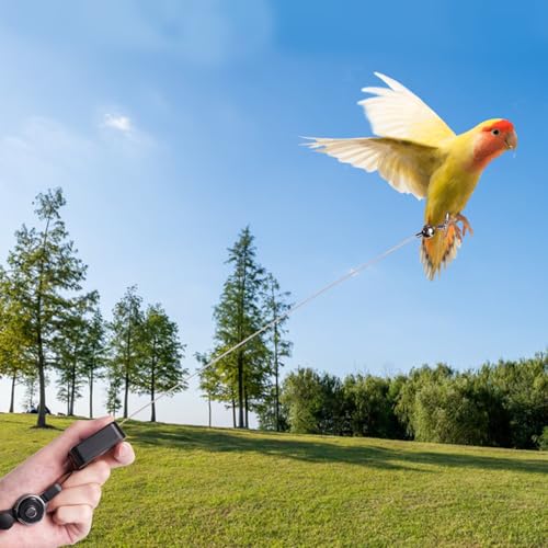 Retractable Bird Leash, with 5 Different Size Foot Ring and Feeder Box, Anti-Bite Parrot Harness Bird Flight Training Rope for Budgies, Cockatiels, Psittacula Longicauda, Mini Macaws (19.69Ft) - size: 19.69FT