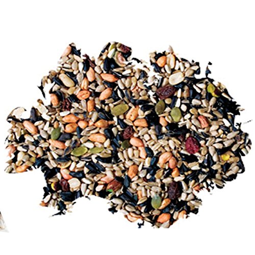 Wild Delight 366050 Nut N' Berry Bird Food, 5 lb, Multi (Pack of 2) - size: 5 Pound (Pack of 2), style: Nut N'Berry 5lb