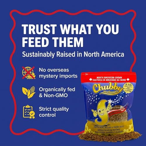 Chubby North American Grown Dried Mealworms | 2.5 lbs | Non-GMO High-Protein Treats for Chickens, Ducks & Wild Birds – Sustainable Chicken Feed | Non-GMO, High-Protein - size: 2.5 Pound (Pack of 1)