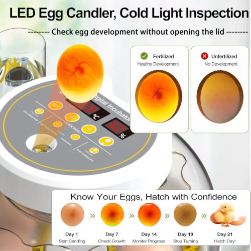 18/60 Incubator for Hatching Eggs, Egg Incubators with Humidity Display, Egg Candler, Automatic Egg Turner, Poultry Egg Incubator for Hatching Chicken Duck Bird Quails- Yellow 2 Egg Trays - color: Yellow