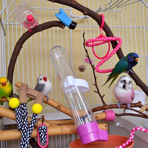 1Pc Parakeet Water Dispenser Hanging Plastic Automatic Feeder for Cage No Spill Food Container for Small Medium Birds Parrot Toys African Grey for Small Parrots Conure Macaw Parrot Toys(Random Color)