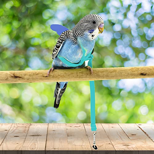 Dnoifne Pet Parrot Bird Harness and Leash, Adjustable Training Design Anti-Bite, Bird Nylon Rope with Cute Wing for Parrots, Suitable for Scarlet, Keck, Mini Macaw and Same Size Birds (Light Blue) - color: light blue