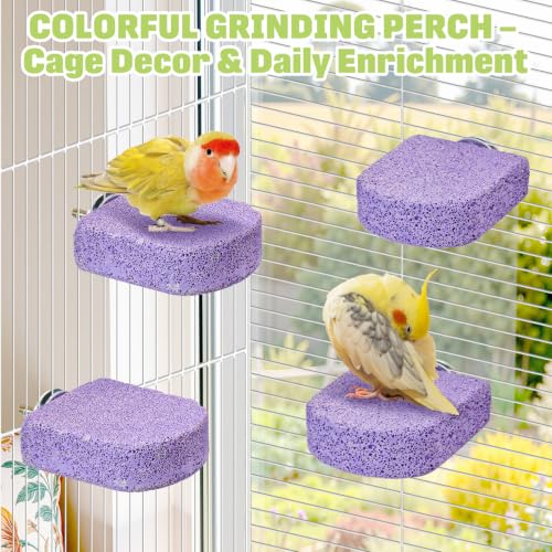 BNOSDM 4 Pcs Purple Bird Beak Grinding Stone Calcium Parrot Perch 3.1*2.6in - color: 4 Pcs- Purple (M+)