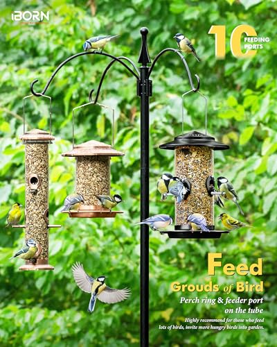 iBorn Metal Bird Feeder for Outside Hanging,Wild Bird Feeders for Cardinal,17.8cm Large Roof&Tray Black 10 Port(Seed is not Included) - color: Black,2.8LB,10Port