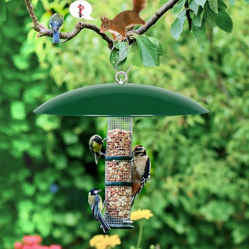 13" Bird Feeder Rain Cover,Bird Feeder Dome,Hummingbird Feeder Squirrel Guard, Proof Bird Feeders Baffle,Smart Birds Feeder's Umbrella(Green), 1 Pack - color: Green, size: 13Inch / 1 Pack