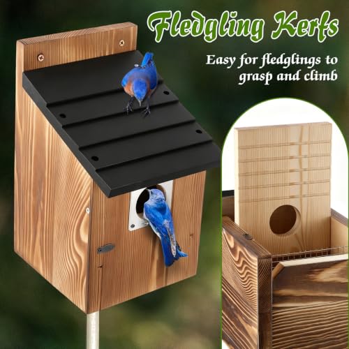 Dreyoo 4 Pack Bluebird Houses for Outside with Metal Predator Guard, 1-1/2" Entrance Hole Wooden Blue Bird Houses for Outdoors, Bluebird Nesting Box(Black Roof, Burnt Wood Body) - color: Black Roof, Burnt Wood Body