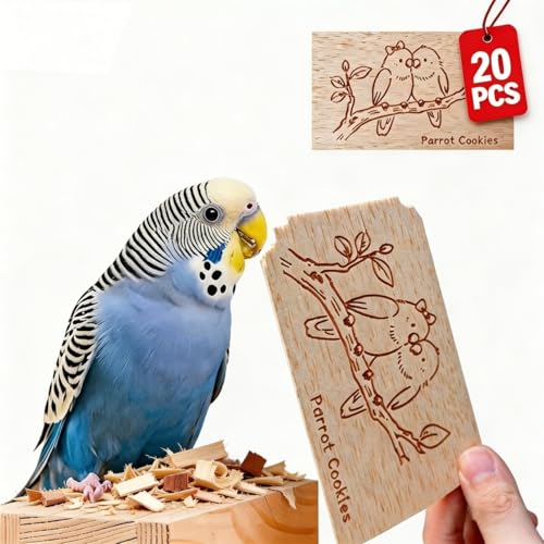Natural Balsa Wood Bird Chew Toys,20 Pack Soft Wooden Slices with Prints - size: Medium