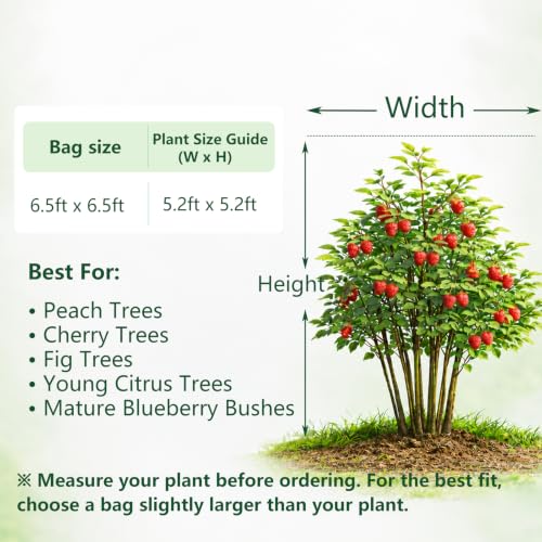 Jevrench 2 Pack 6.5 x 6.5ft Garden Netting for Plants, Fruit Tree Netting with Zipper & Drawstring, Bird Netting for Garden Protection, Blueberry Bushes, Tomato Plants & Fruit Trees - size: 6.5 x 6.5ft – 2 Pack