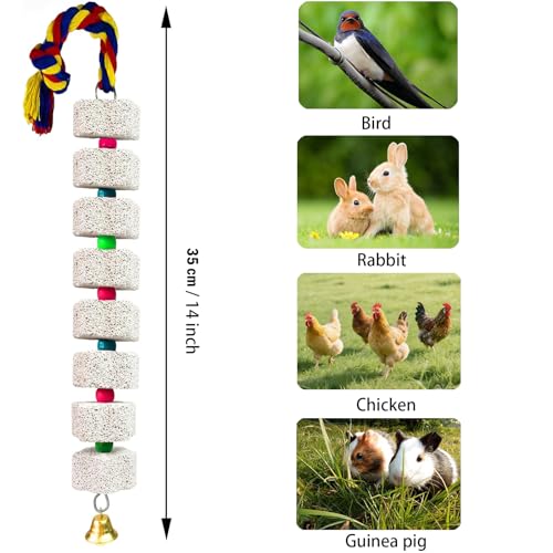 KABASI 2Pack Mineral Block Chicken Chewing Toy, Bird Beak Grinding Stone | with Bells, Chicken Coop Calcium StoneAccessories for African Grey, Budgies Cockatiels Parrot Hens Geese Ducks Hamster Rabbit