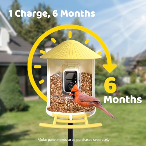 NETVUE by Birdfy Smart Bird Feeder with AI Camera, Auto Capture Videos & Live Steam, Wireless Wildbird Watching, Outdoor Backyard Birder(AI by Subscription) Yellow - color: Yellow