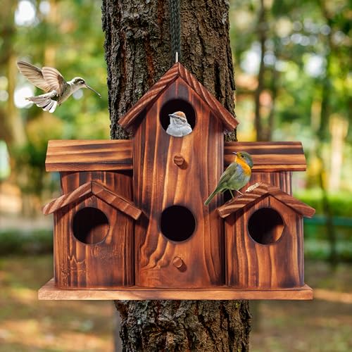 MIXUMON Wooden Bird Houses for Outside – 6 Rooms Multi-Chamber Bird House, Carbonized Pine Rustic Finish, 1.57" Entrance Holes, Cleaning Doors for Each Room, Decorative Outdoor Bird Nesting Box