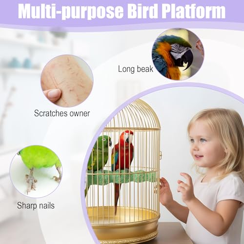 Bird Beak Grinding Stone 2 Pcs Bird Parrot Cage Perch Stand Platform Foot Claws Trimmer Chewing Toys for Small Medium Birds Cage Accessories for Budgies Cockatiels Conures