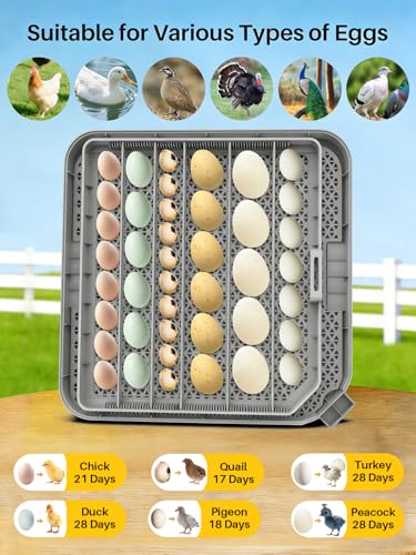 48 Incubators for Hatching Eggs, Eggs Incubator with Egg Candler, Automatic Turner, Temperature and Humidity Control, Incubator for Chicken, Duck, Quail Eggs, Ideal for Farm, School and Lab