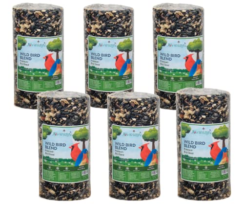 JCs Wildlife Wild Bird Blend Seed Cylinder with Hole, Sunflower Safflower Pecans Peanuts Bird Food for Outside Feeders, Cardinals Woodpeckers Chickadees Nuthatches, Made in the USA, 1.5 lb, 6 Pack - size: 6 Cylinders