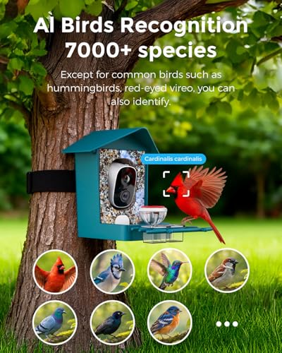Devo Solar Smart Bird Feeder with Camera, WiFi Outdoor, AI ID, 2.5K HD | WiFi Bird Feeder Cam, Real-Time Alerts, Gift for Bird Lovers, Dad, Mom, Family