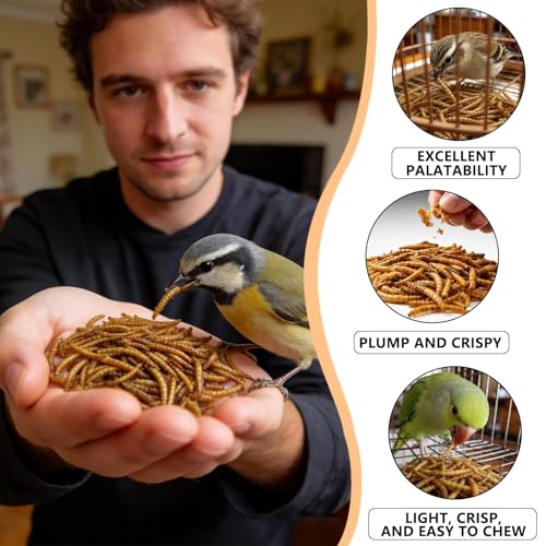 Premium Dried Mealworms for Birds, 4 oz Canister - 100% Natural Bird Food Wild Bird Treat - High Protein Feed for Chickens, Bluebirds, Robins & Wild Birds - Easy-Pour Container (4 oz)