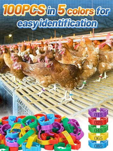 MEWTOGO 17-23mm Adjustable 100 Pcs Chicken Leg Bands - Colorful Easy to Read Numbered Chicken Identification Leg Rings, Durable Poultry Leg Bands for Ducks Goose Turkey Small Birds