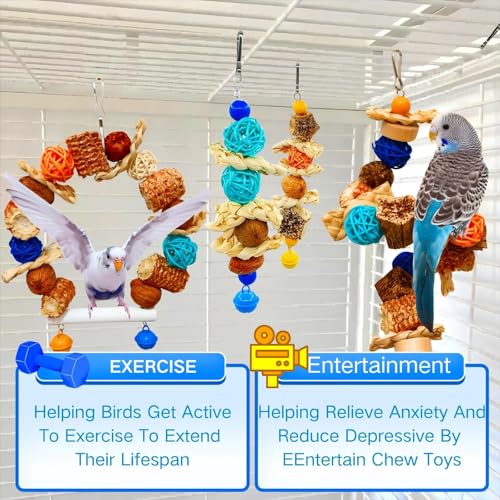 Parakeet Parrot Swing Toys,Bird Cage Hanging Chewing Toys | Natural, Parrot Foraging Toys, For Budgerigar Conure Cockatiel LoveBirds Finches