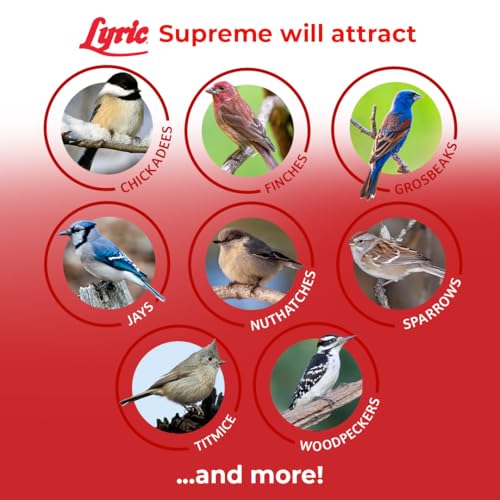 Lyric Supreme Wild Bird Seed - Wild Bird Food Mix with Nuts & Sunflower Seeds for Outside Feeders - Attracts Many Beautiful Songbirds - 4.5 lb bag | Wild Bird Food Mix with nuts and sunflower seeds for outside feeders - Attracts many beautiful songbirds